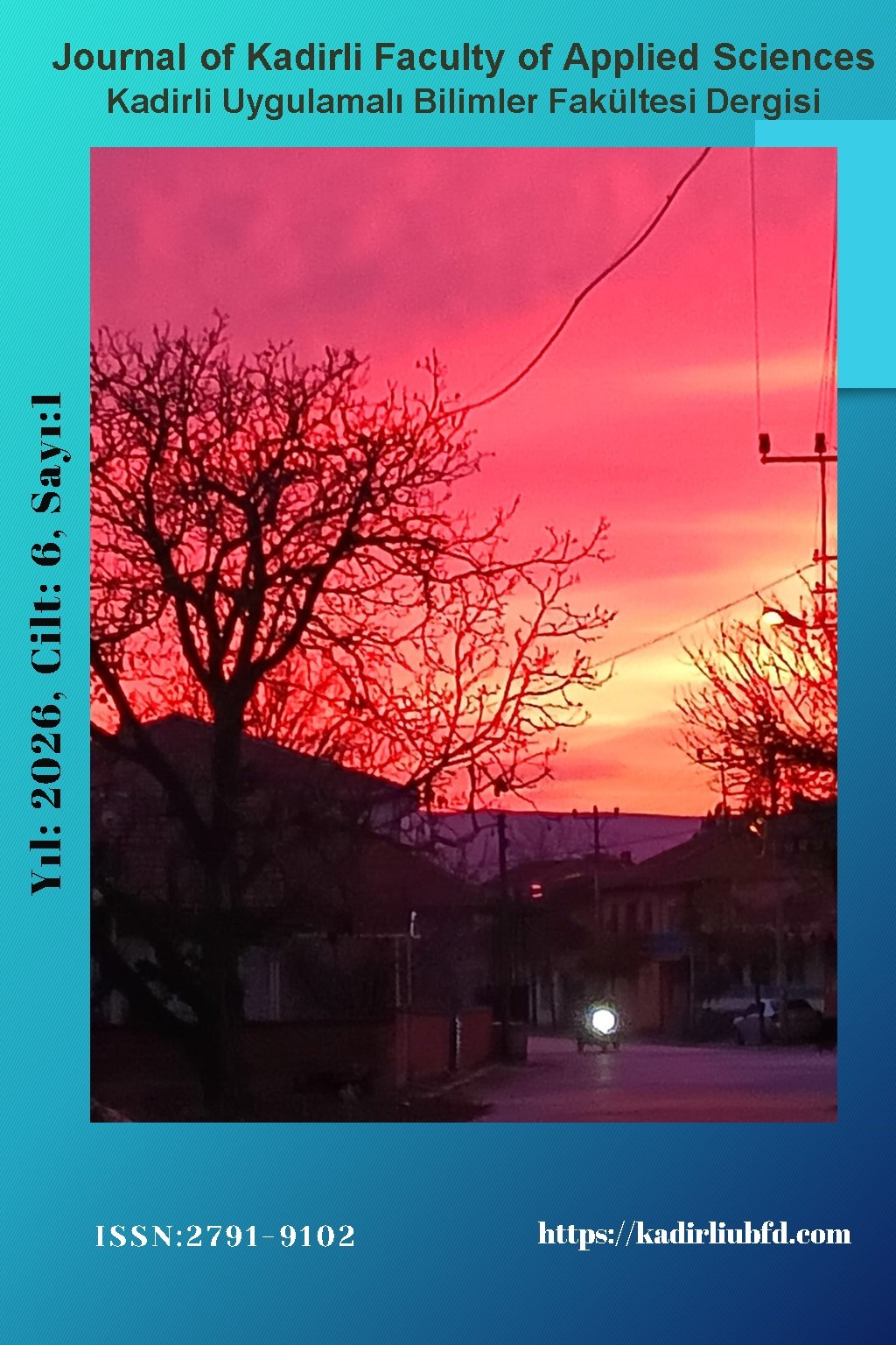 					Cilt 6 Sayı 1 (2026): Kadirli Uygulamalı Bilimler Fakültesi Dergisi Gör
				